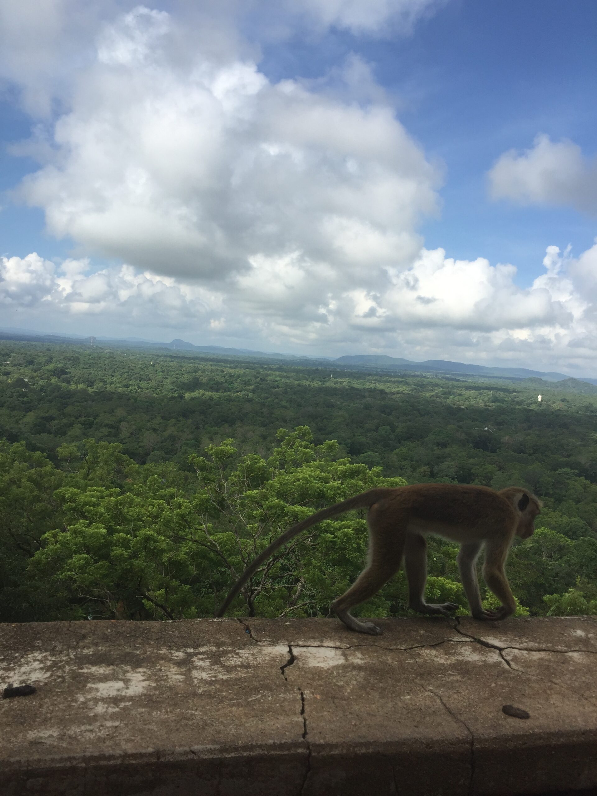 Climbing