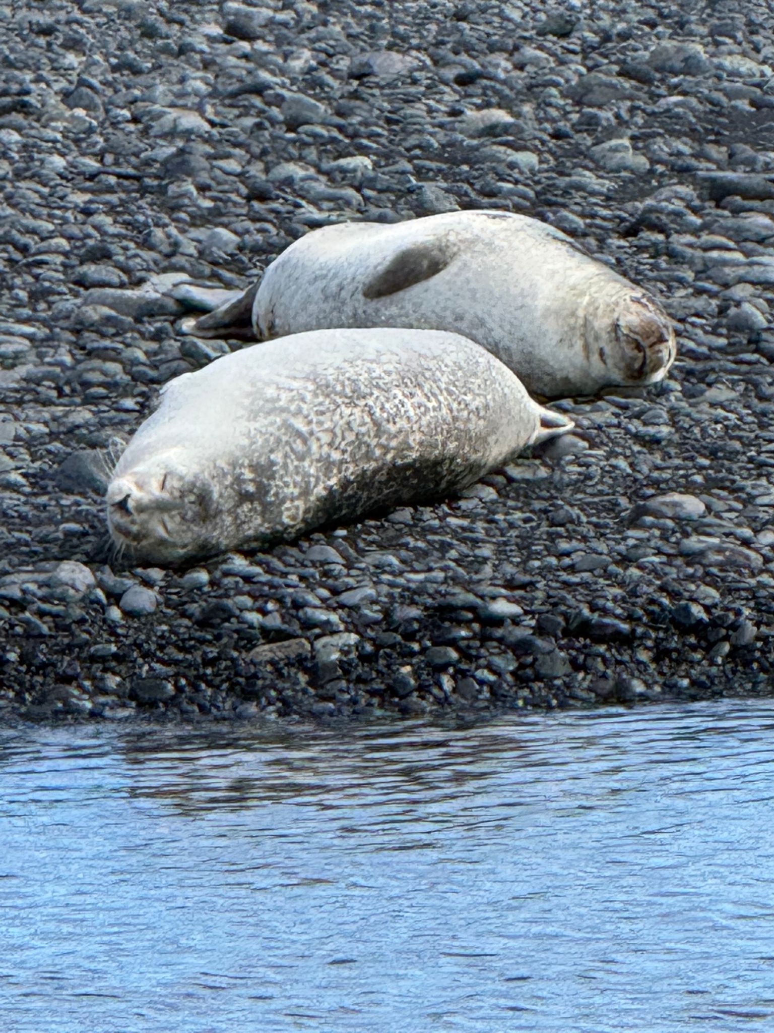 Iceland 13
