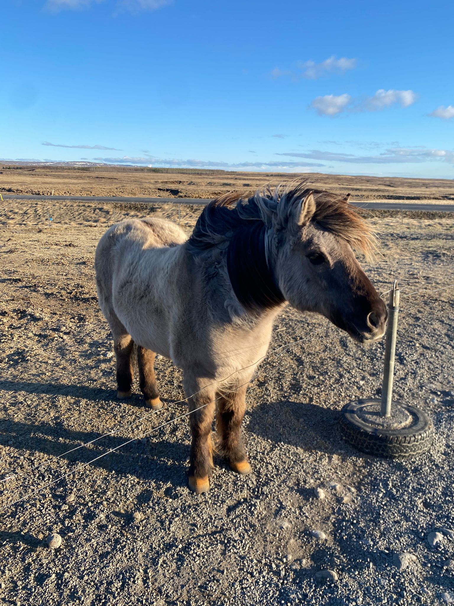 Iceland 2