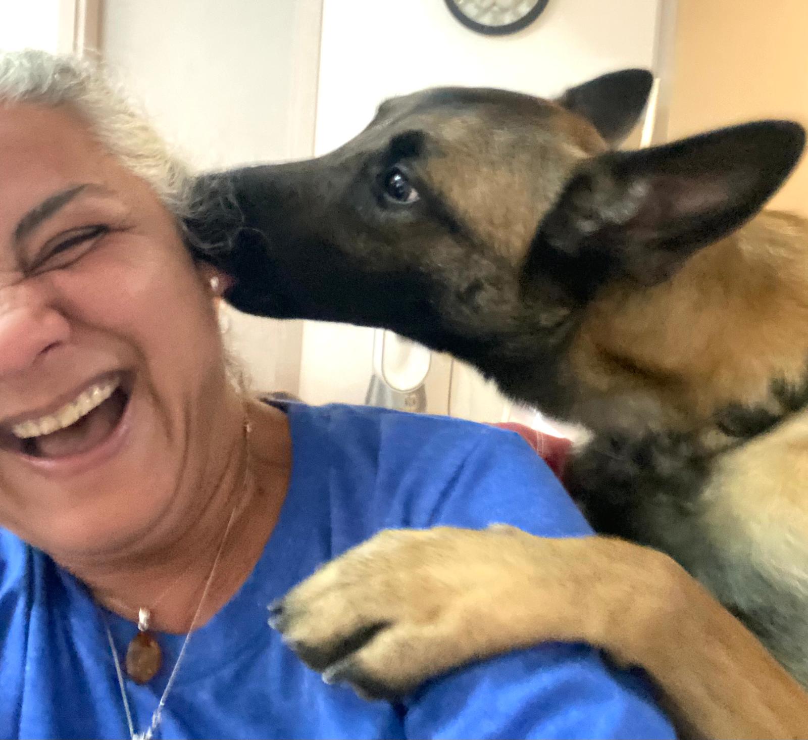 Luna the Belgian Malinois, kissing Filiz on the cheek