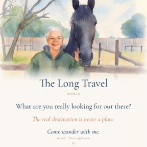 The Long Travel