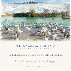 The healing I chase across the world was right in front of me.