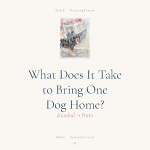Porto- What does it take to bring one dog home?